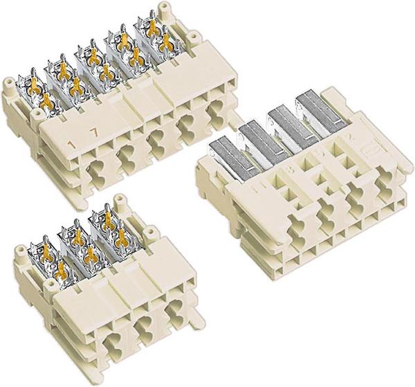 7319000022